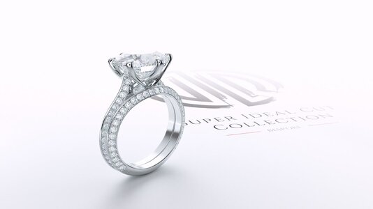 band + ring -1a.JPG