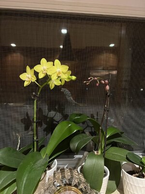 IMG_1304.jpeg