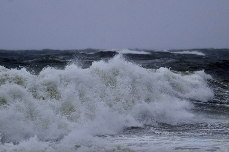 oceanwave.png