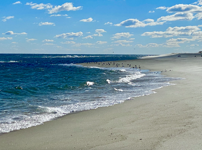 ourbeachwinter2023-2024.png