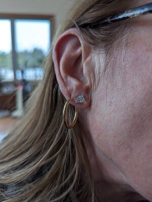 Herkimer~earrimg.jpg