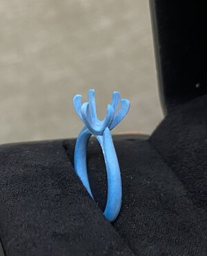 IMG_7234.jpeg IMG_7234.jpeg