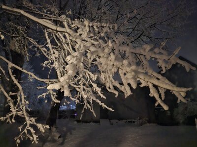 20240129_020442.jpg