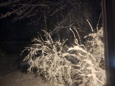 20240129_020607.jpg