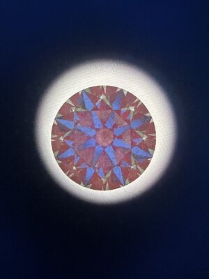 IMG_4249.jpeg