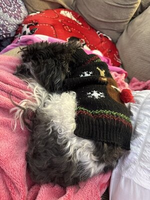 IMG_7718.jpeg