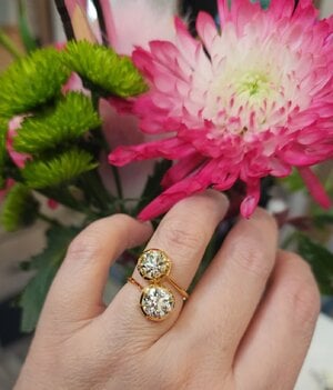 inspo ring200.jpg