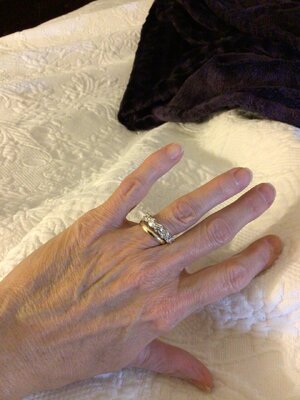 IMG_1101.jpeg