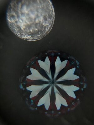 IMG_1833.jpeg