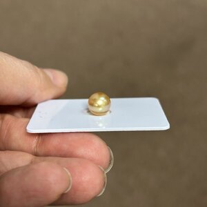 IMG_1081.jpeg