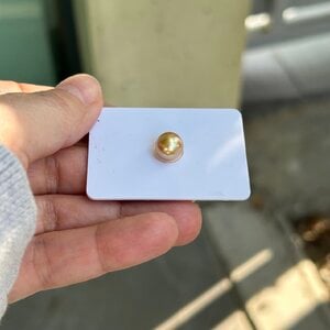 IMG_1082.jpeg