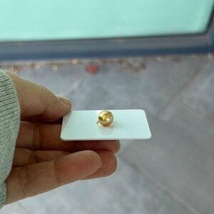 IMG_1086.jpeg