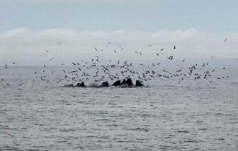 IMG_1107.jpeg