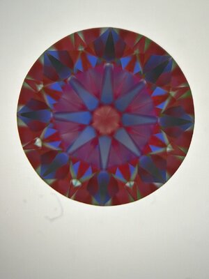IMG_2264.jpeg IMG_2264.jpeg