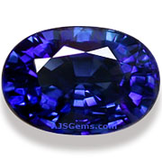 SAP-00539-l.jpg