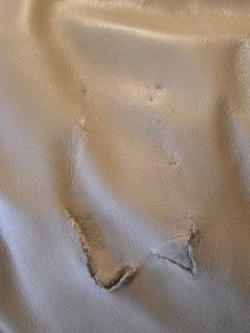 PC060004 (426 x 568).jpg