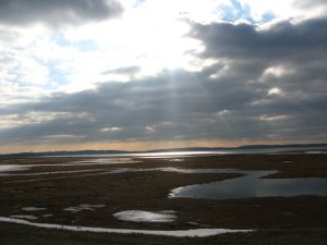 IMG_0052.jpg