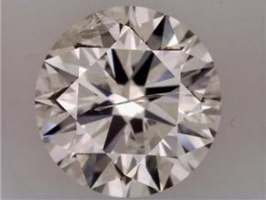1.7 magnified pic.jpg