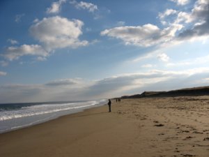 PIBeach.jpg
