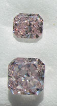 2pinks.jpg