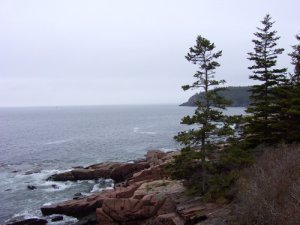 mainecoastsumb.jpg