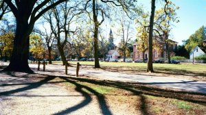 wburgsumbsquare.jpg