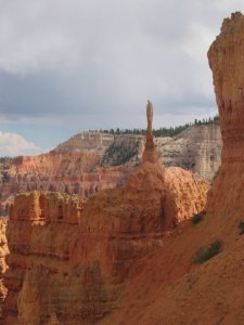 bryce.jpg