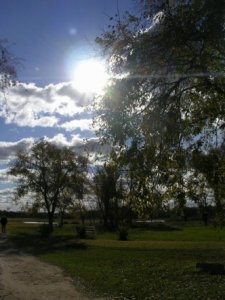 Argentine Countryside.jpg