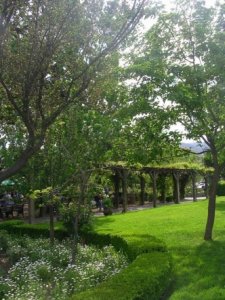 napa gardens.jpg