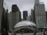 the bean.jpg
