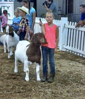 IMG_3900.jpeg