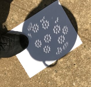 IMG_0163.jpeg