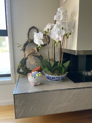 IMG_3503.jpeg