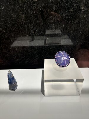 IMG_2467.jpeg