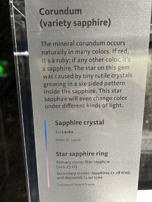 IMG_2468.jpeg