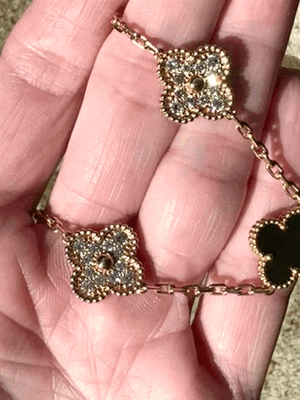 jaz_8543.GIF jaz_8543.GIF