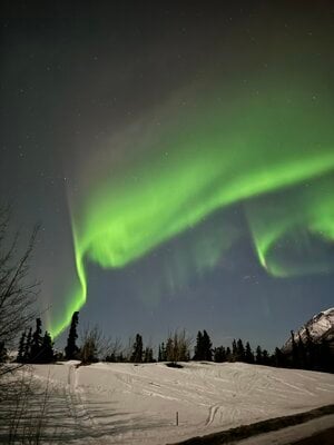 IMG_6979.jpeg