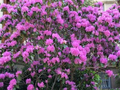 IMG_0925.jpeg
