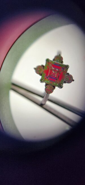 20240429_093527.jpg