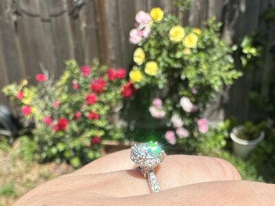 IMG_9061.jpeg