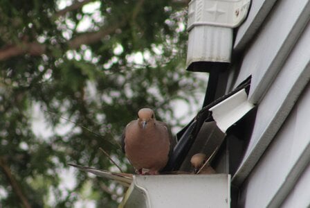 IMG_2330.JPG
