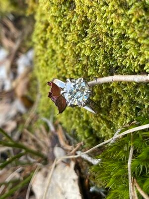 IMG_4896.jpeg