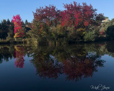 Katherine Albertson Park 2023-.jpg