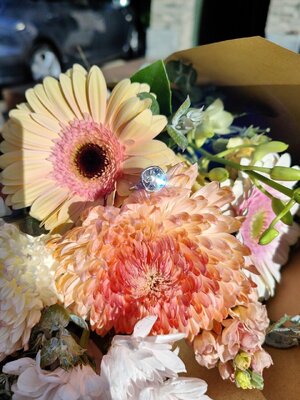 IMG20240514144117.jpg