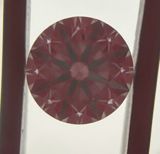IMG_0509.jpeg