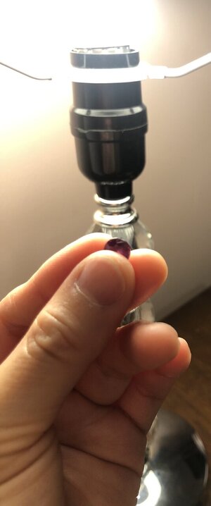 IMG_7876.jpeg