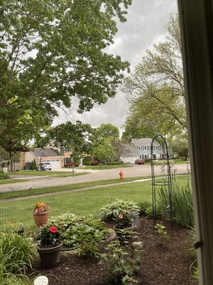 IMG_5272.jpeg
