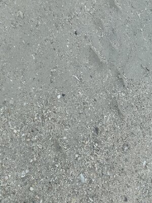 IMG_4752.jpeg