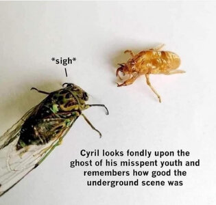 IMG_6946.jpeg