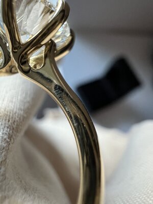 IMG_7538.jpeg